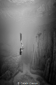''Exhale'' . MJ Paula freefalling early into a dive after... by Catalin Craciun 